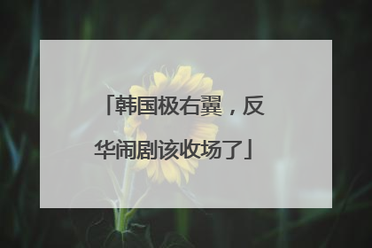 韩国极右翼，反华闹剧该收场了